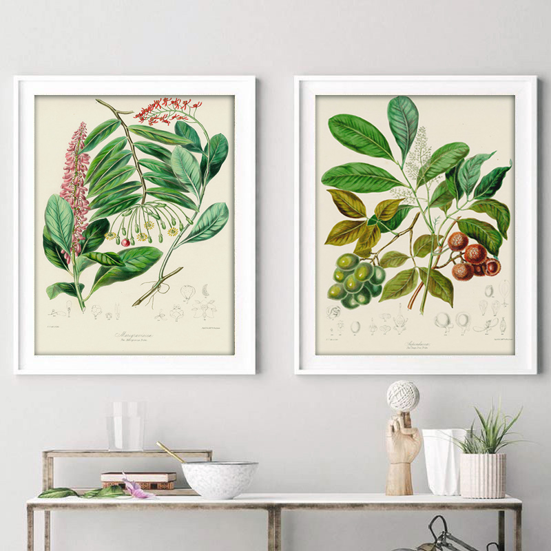 Botanical Collection Vintage P - Vintage Collectible Posters review and price